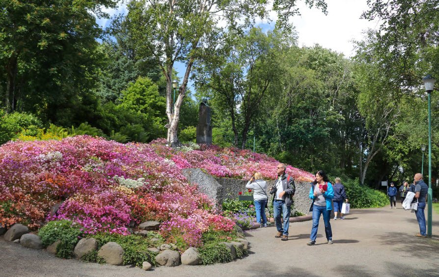 Akureyri Botanical Gardens, Akureyri, North Iceland, Iceland
